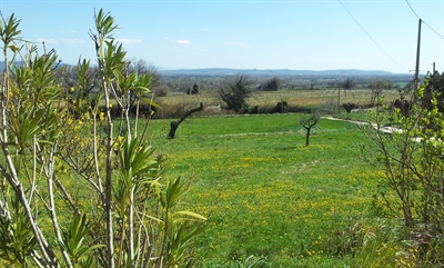 Paysage degagé sur la plaine avec champs et vignoble autour de la propriété. Espace non cloturé